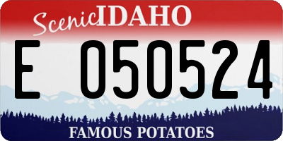 ID license plate E050524