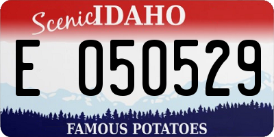 ID license plate E050529