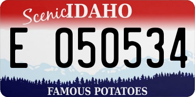 ID license plate E050534