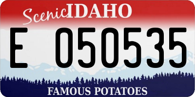 ID license plate E050535
