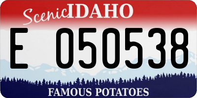 ID license plate E050538