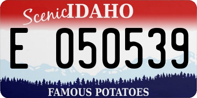 ID license plate E050539