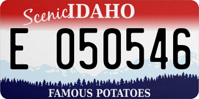 ID license plate E050546