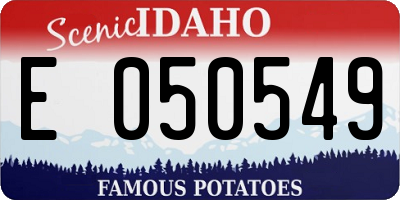 ID license plate E050549
