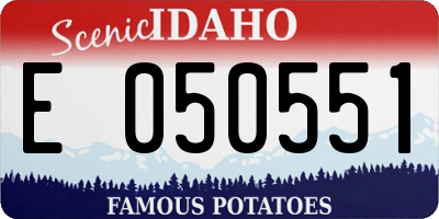 ID license plate E050551