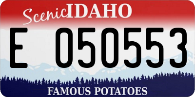 ID license plate E050553