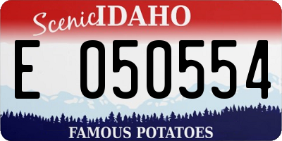 ID license plate E050554