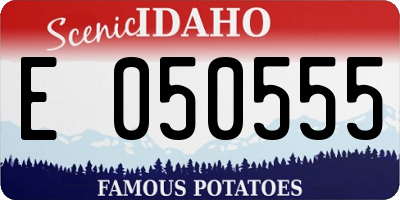 ID license plate E050555