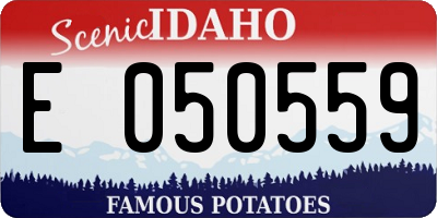 ID license plate E050559