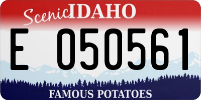 ID license plate E050561
