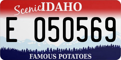 ID license plate E050569