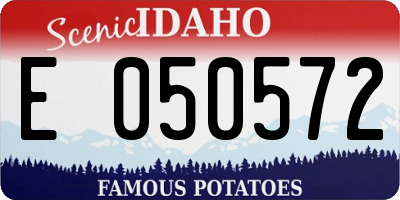 ID license plate E050572
