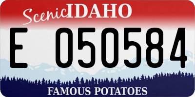 ID license plate E050584
