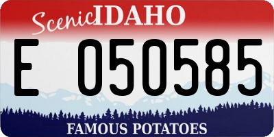 ID license plate E050585