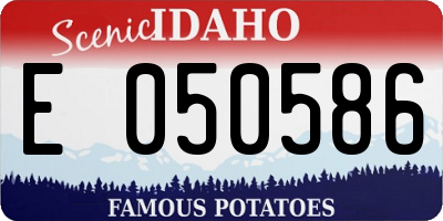 ID license plate E050586