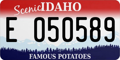 ID license plate E050589