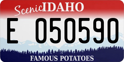 ID license plate E050590