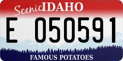 ID license plate E050591