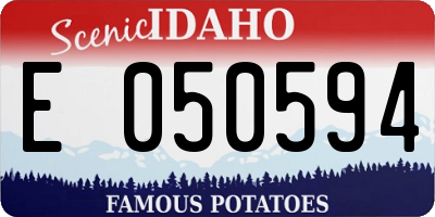 ID license plate E050594