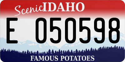ID license plate E050598