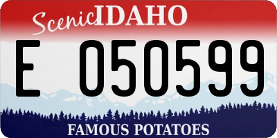 ID license plate E050599