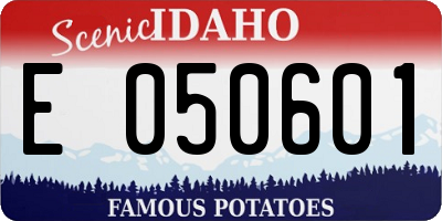 ID license plate E050601