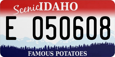 ID license plate E050608