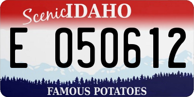ID license plate E050612