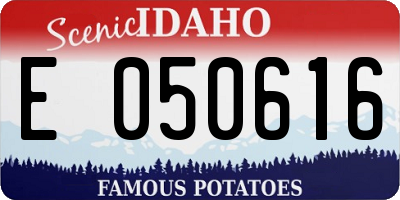 ID license plate E050616
