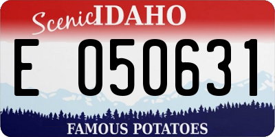 ID license plate E050631