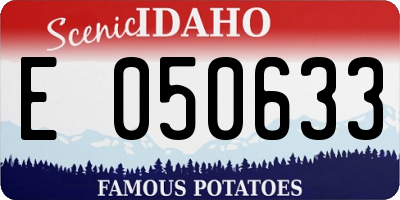 ID license plate E050633