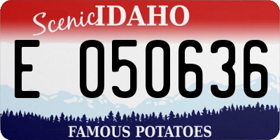 ID license plate E050636