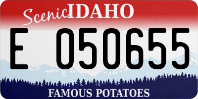 ID license plate E050655