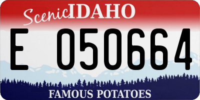 ID license plate E050664