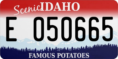 ID license plate E050665