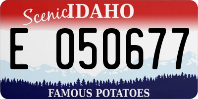 ID license plate E050677