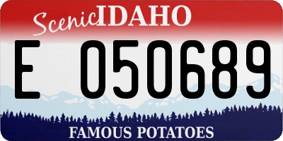 ID license plate E050689