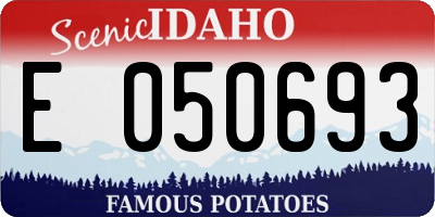 ID license plate E050693