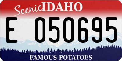 ID license plate E050695