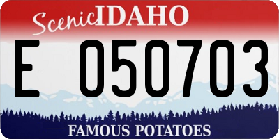 ID license plate E050703