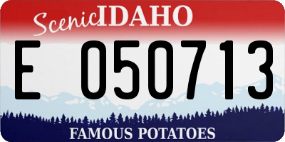 ID license plate E050713
