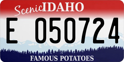ID license plate E050724