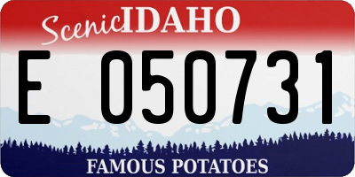 ID license plate E050731