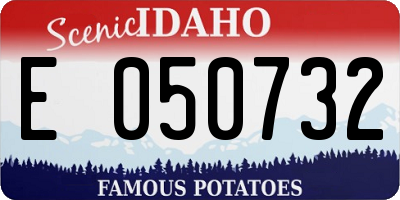 ID license plate E050732