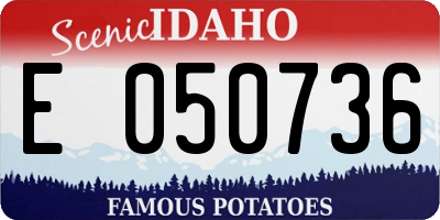 ID license plate E050736
