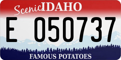 ID license plate E050737