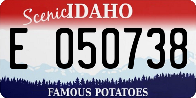 ID license plate E050738