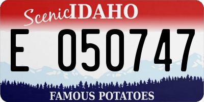 ID license plate E050747