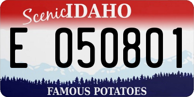 ID license plate E050801