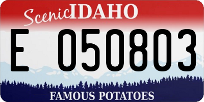ID license plate E050803